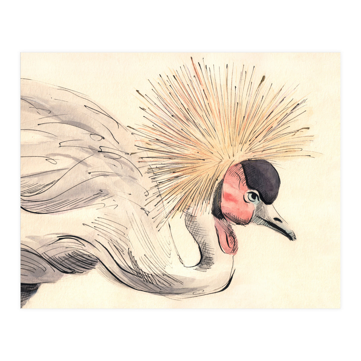 Crowned Crane (Print Only)