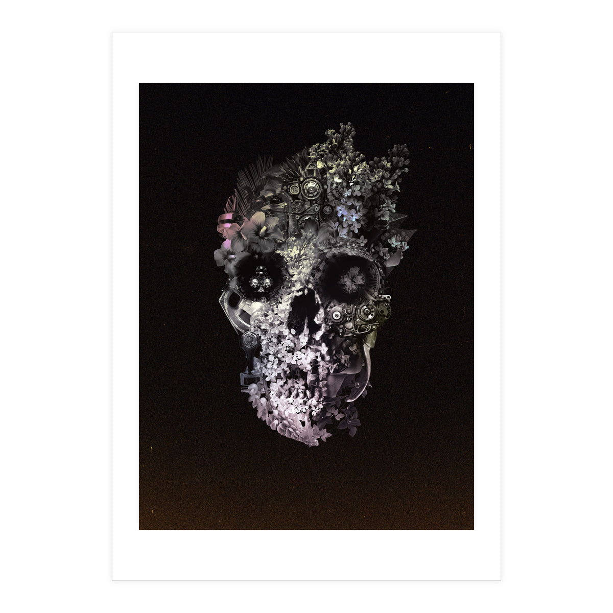 Metamorphosis  (Print Only)