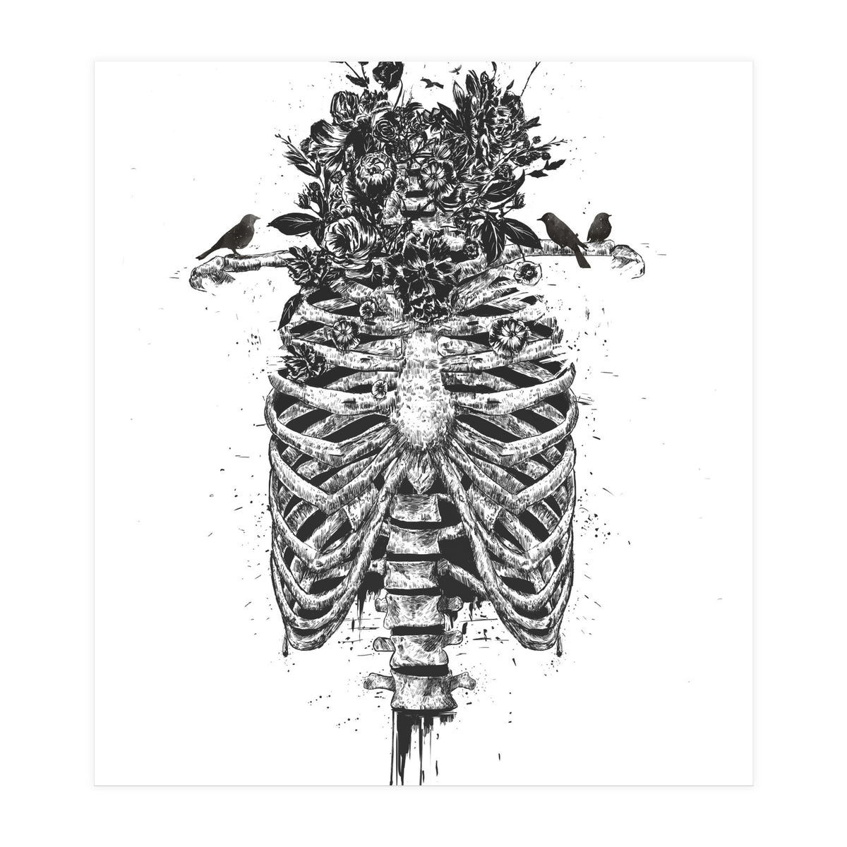 Tree Of Life (Print Only)