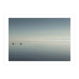 The Salton Sea (Print Only) thumbnail