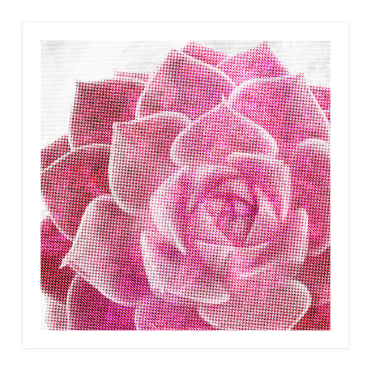 Rough Beauty 4 (Print Only)