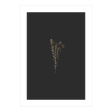 Moody Golden Botanicals (Print Only) thumbnail