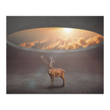 Display Ring (Print Only) thumbnail