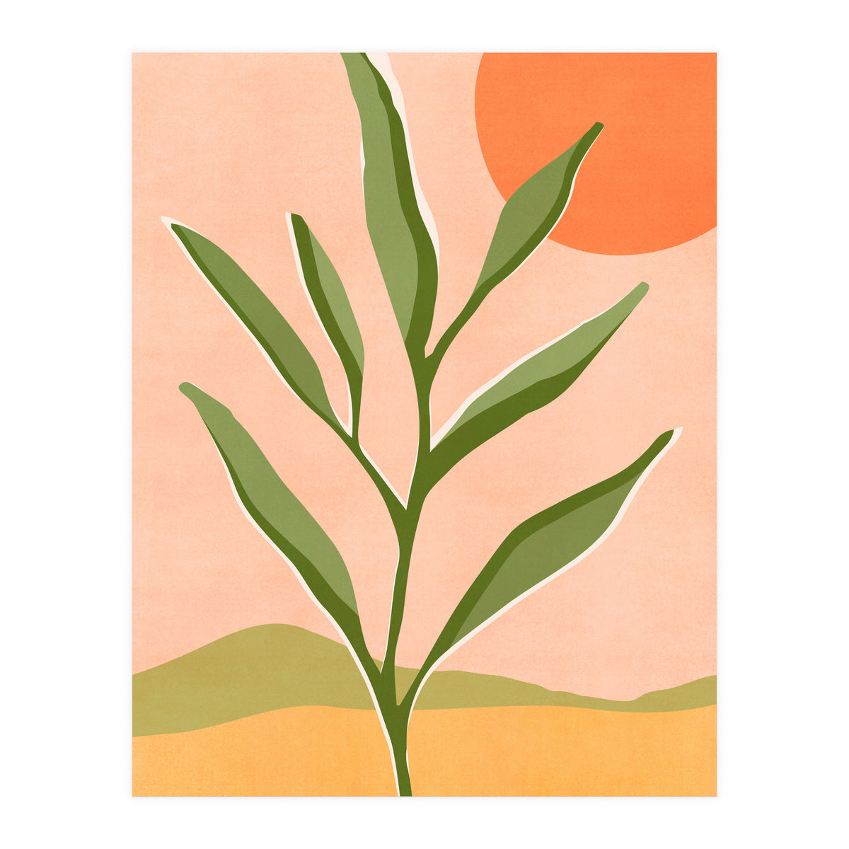 The Sun and The Succulent (Print Only)