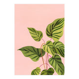 Tropical Rising (Print Only) thumbnail