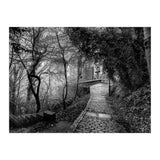Monochrome path (Print Only) thumbnail