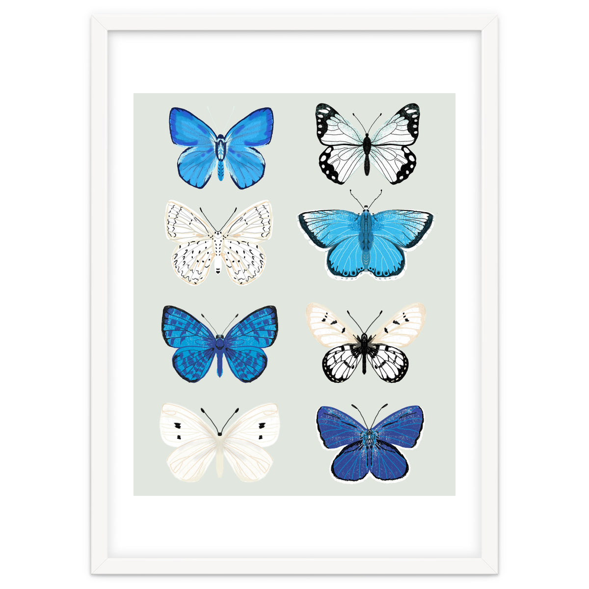 Lepidoptery Study No. 3