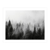 Black and White Forest (Print Only) thumbnail