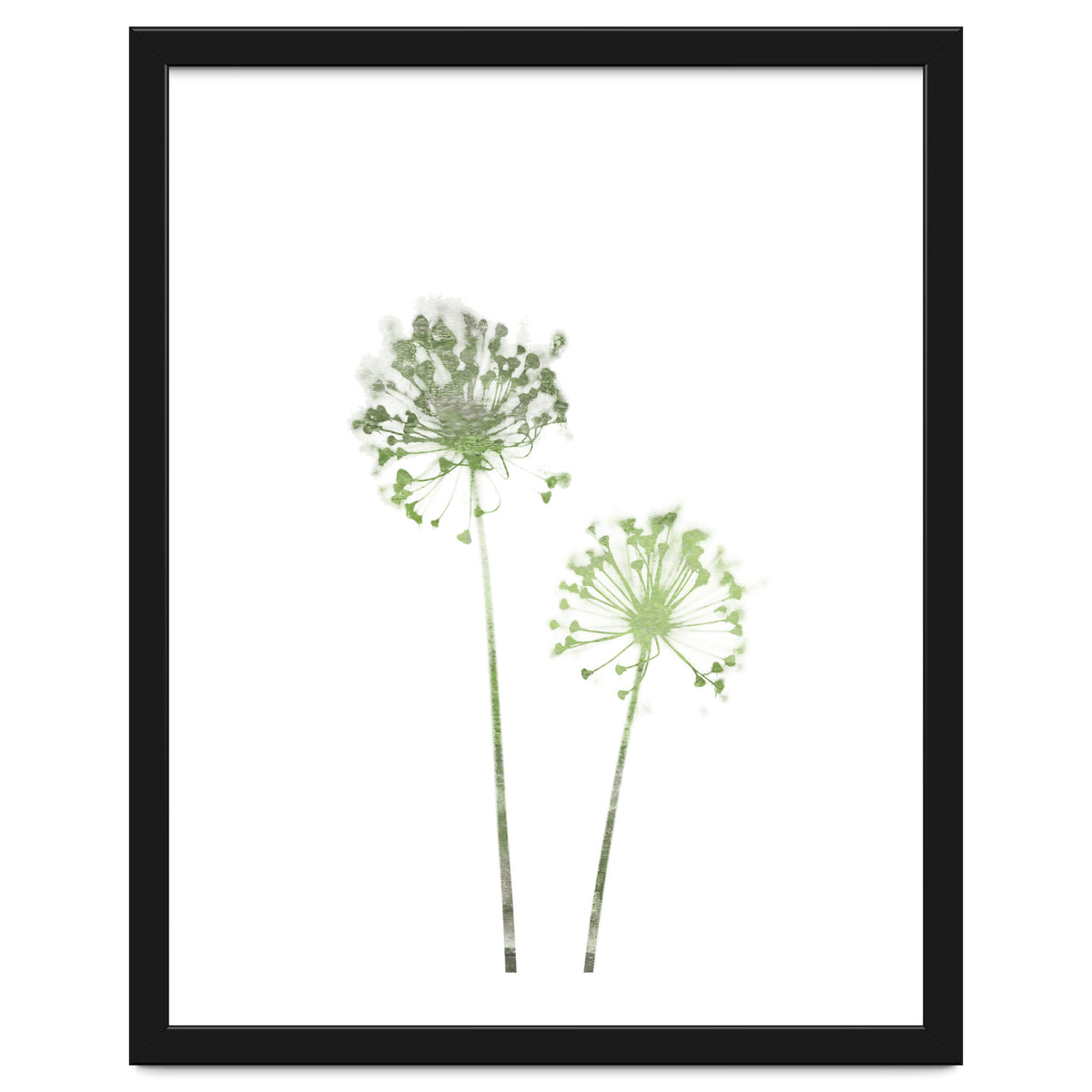 Olive Green Dandelion