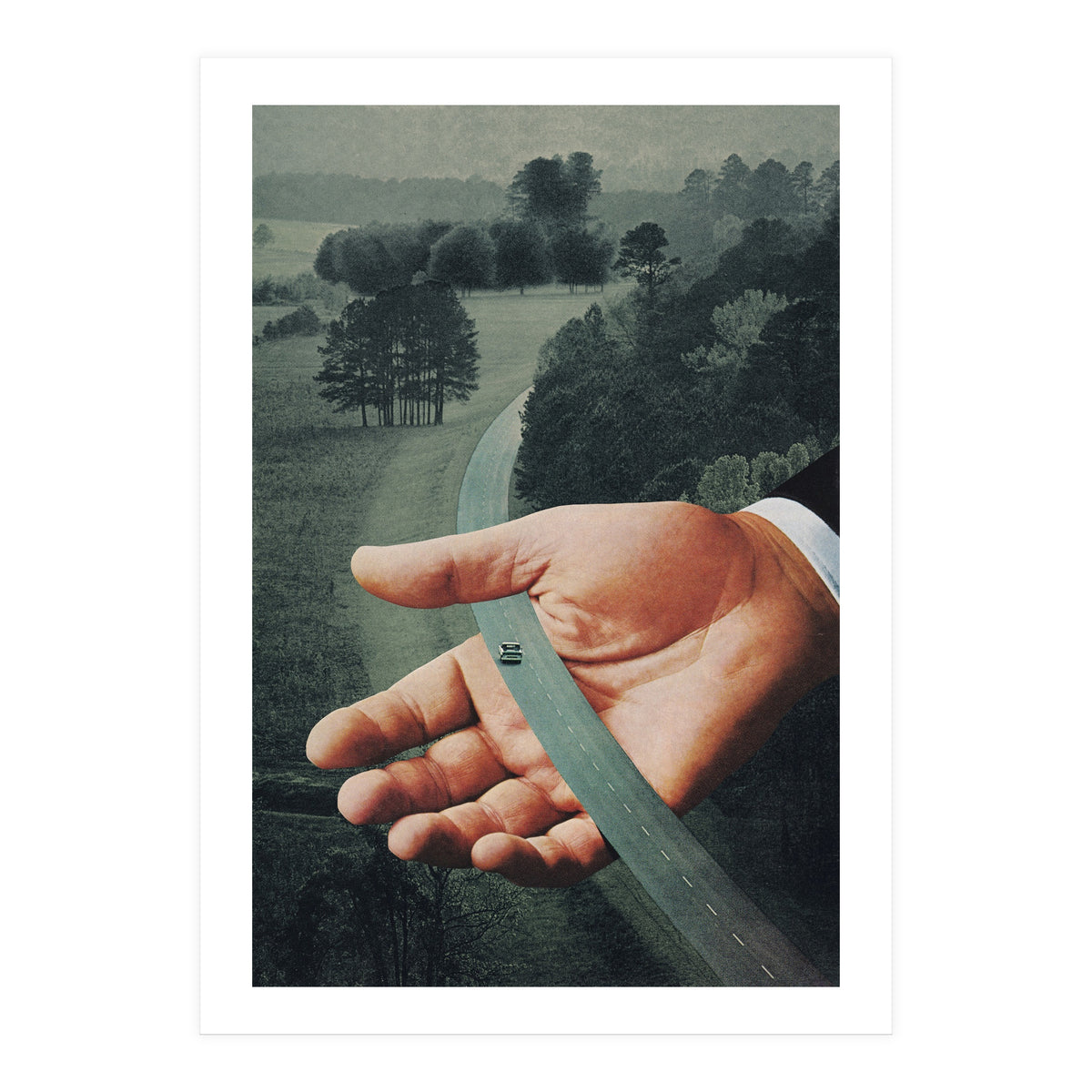 Comfort Zone (Print Only)