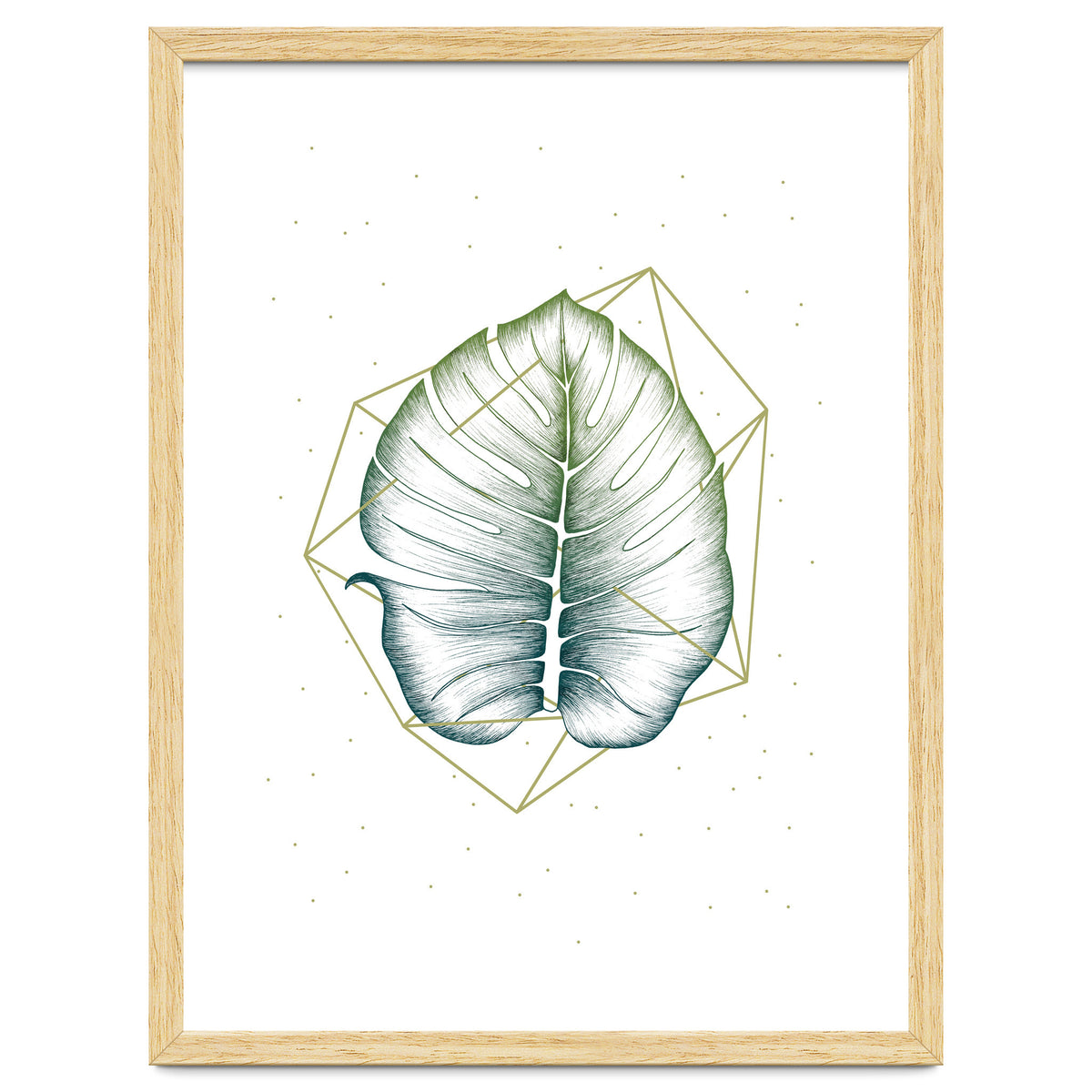 Geometry And Nature II