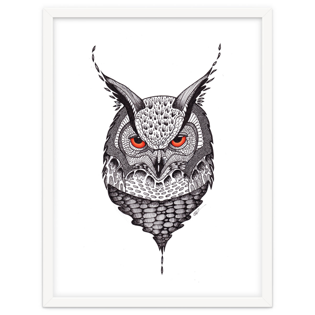 Owl