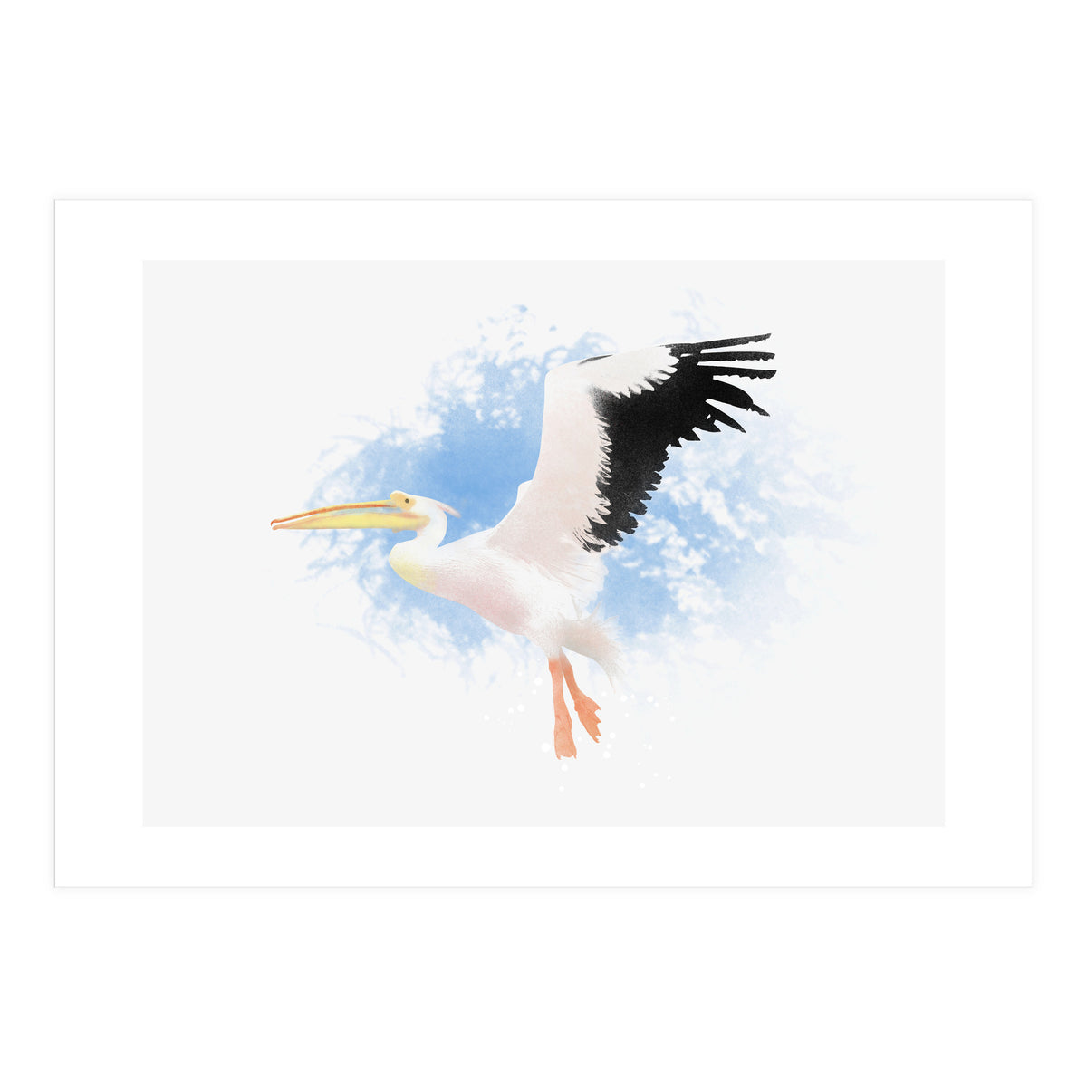 Pelican (Print Only)