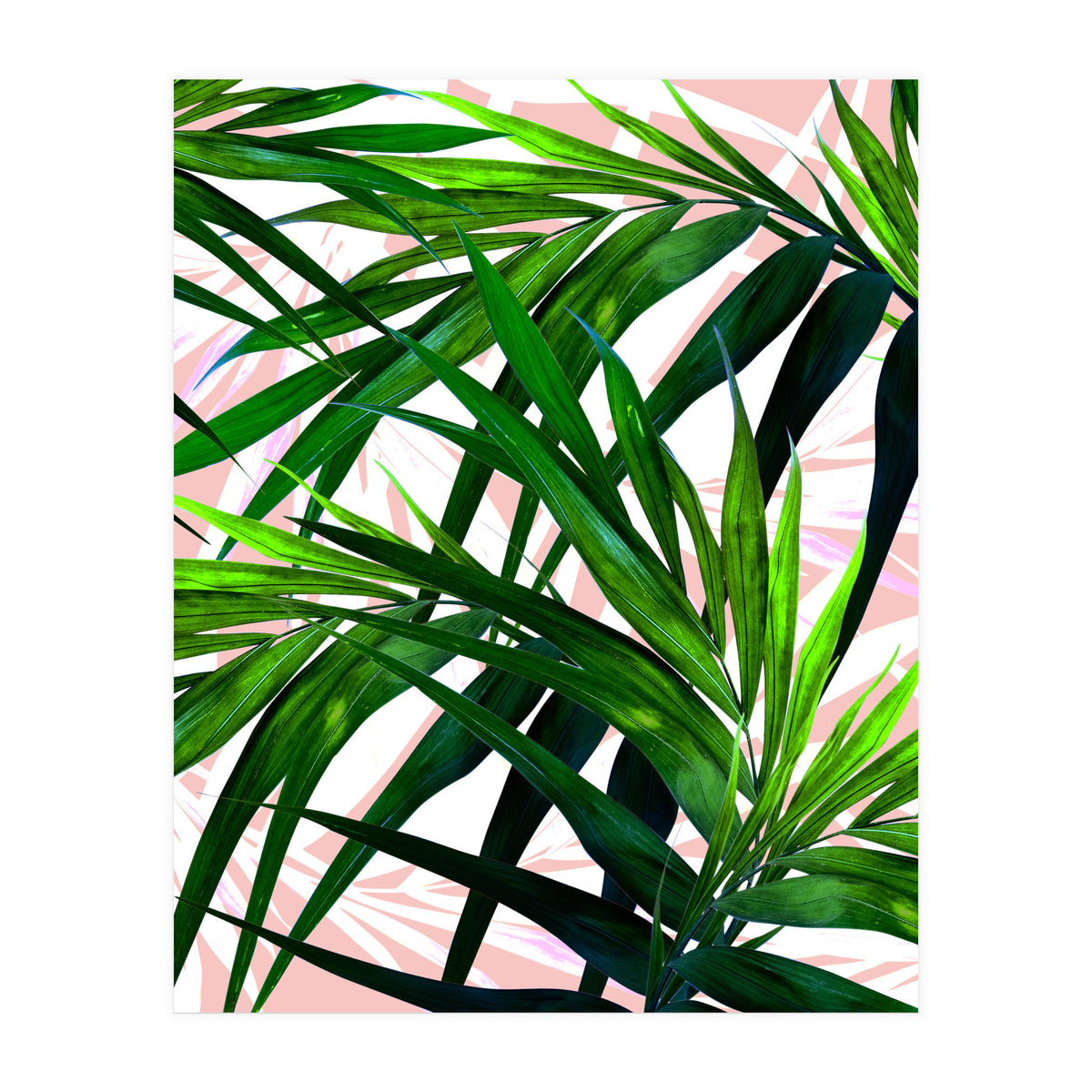 Dream paradise  (Print Only)