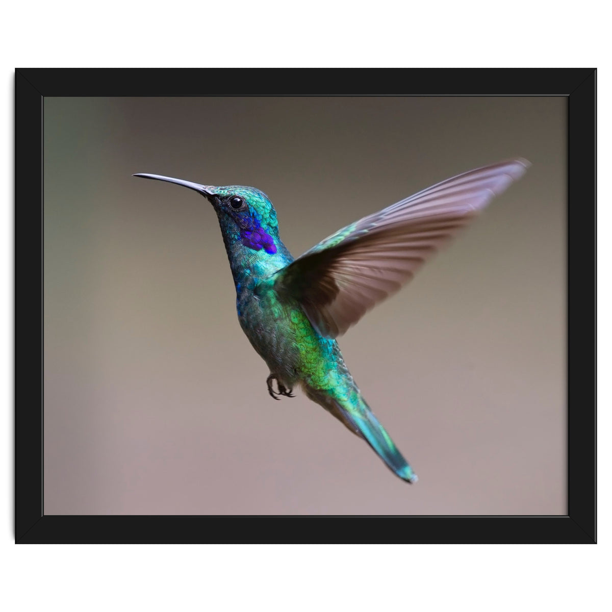 Hummingbird flying