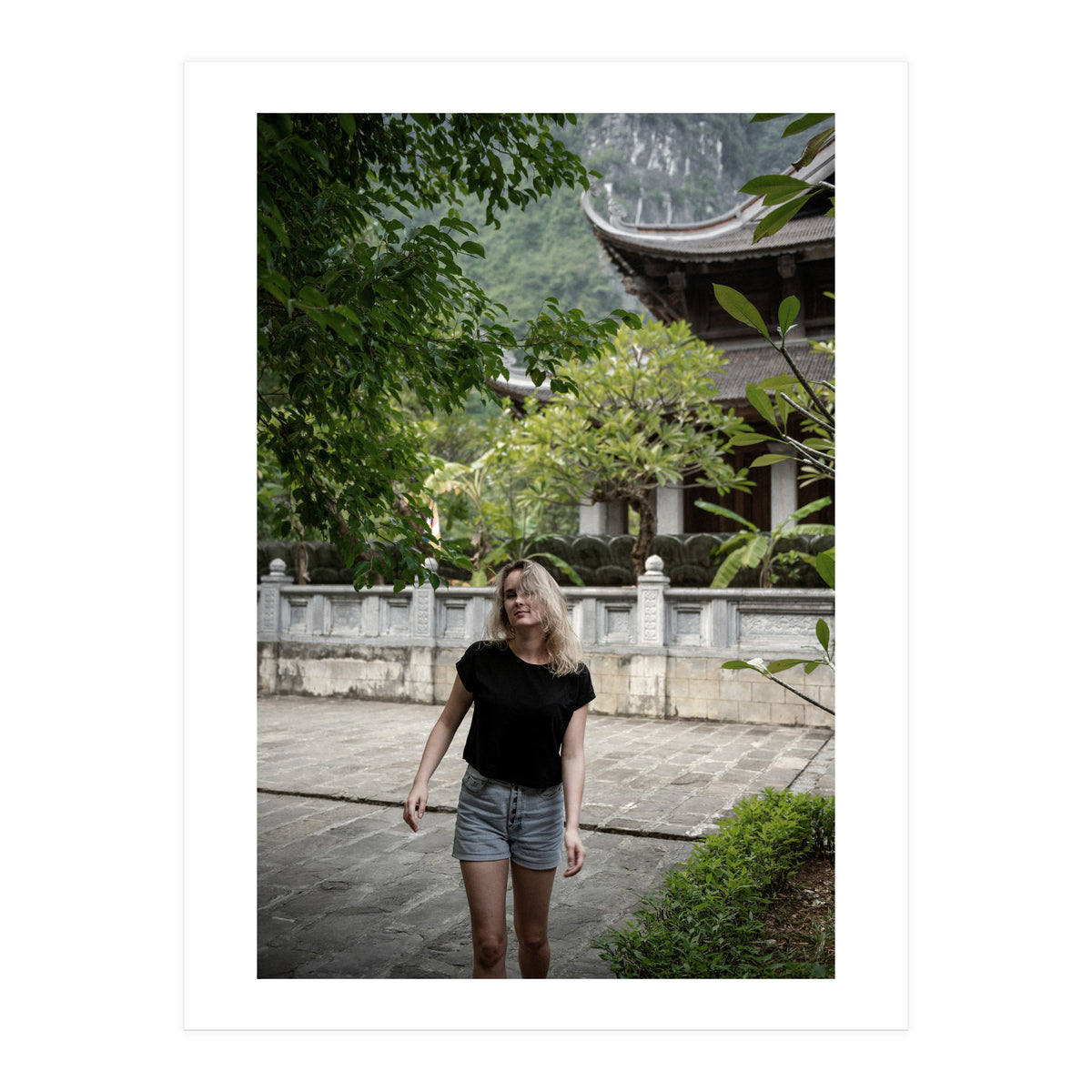 Vietnam Travel (Print Only)