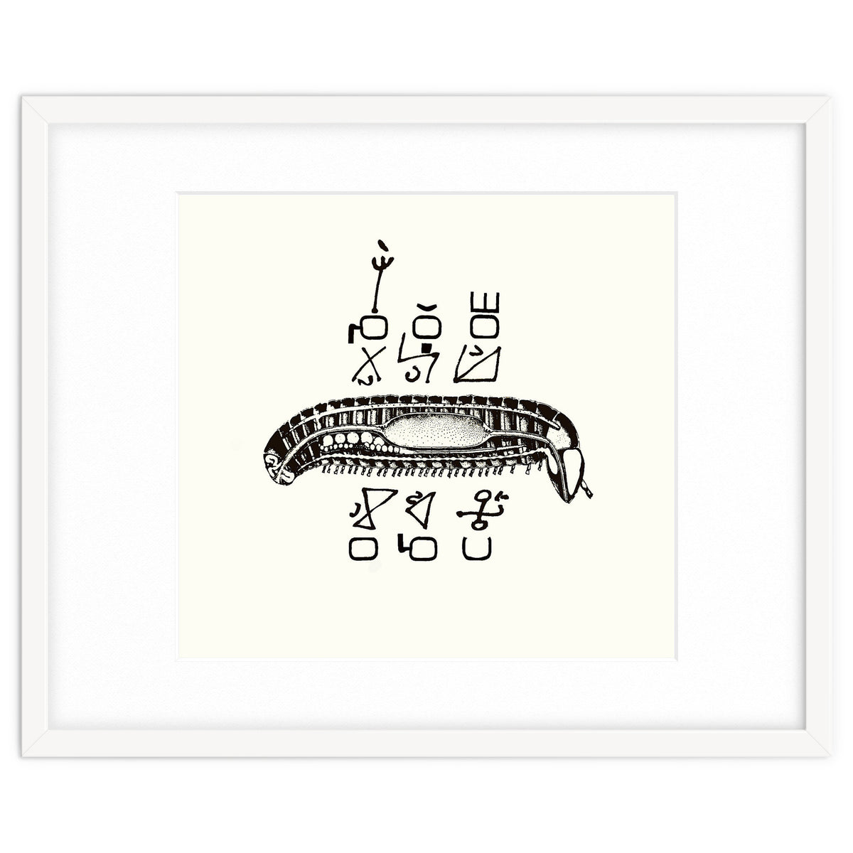 Diplopod David Felix