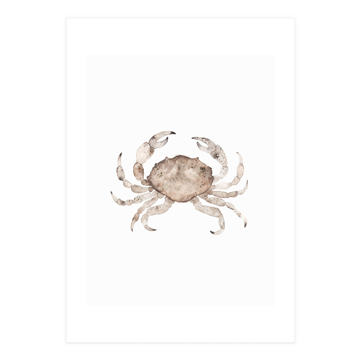 Crab (Print Only)