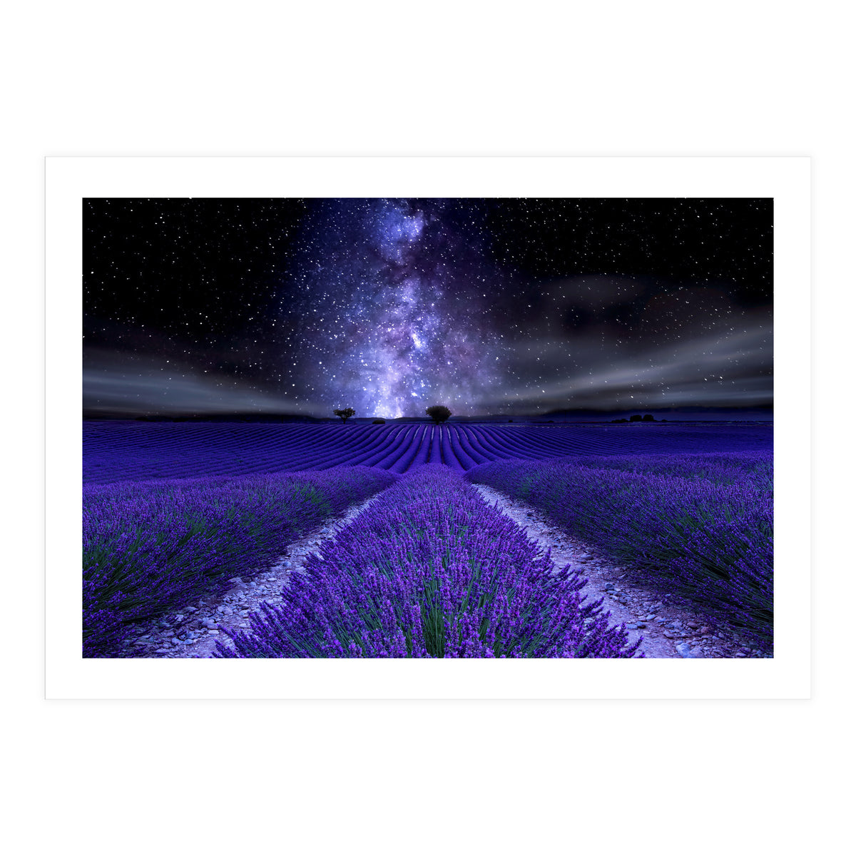 Under The Stars (Print Only)