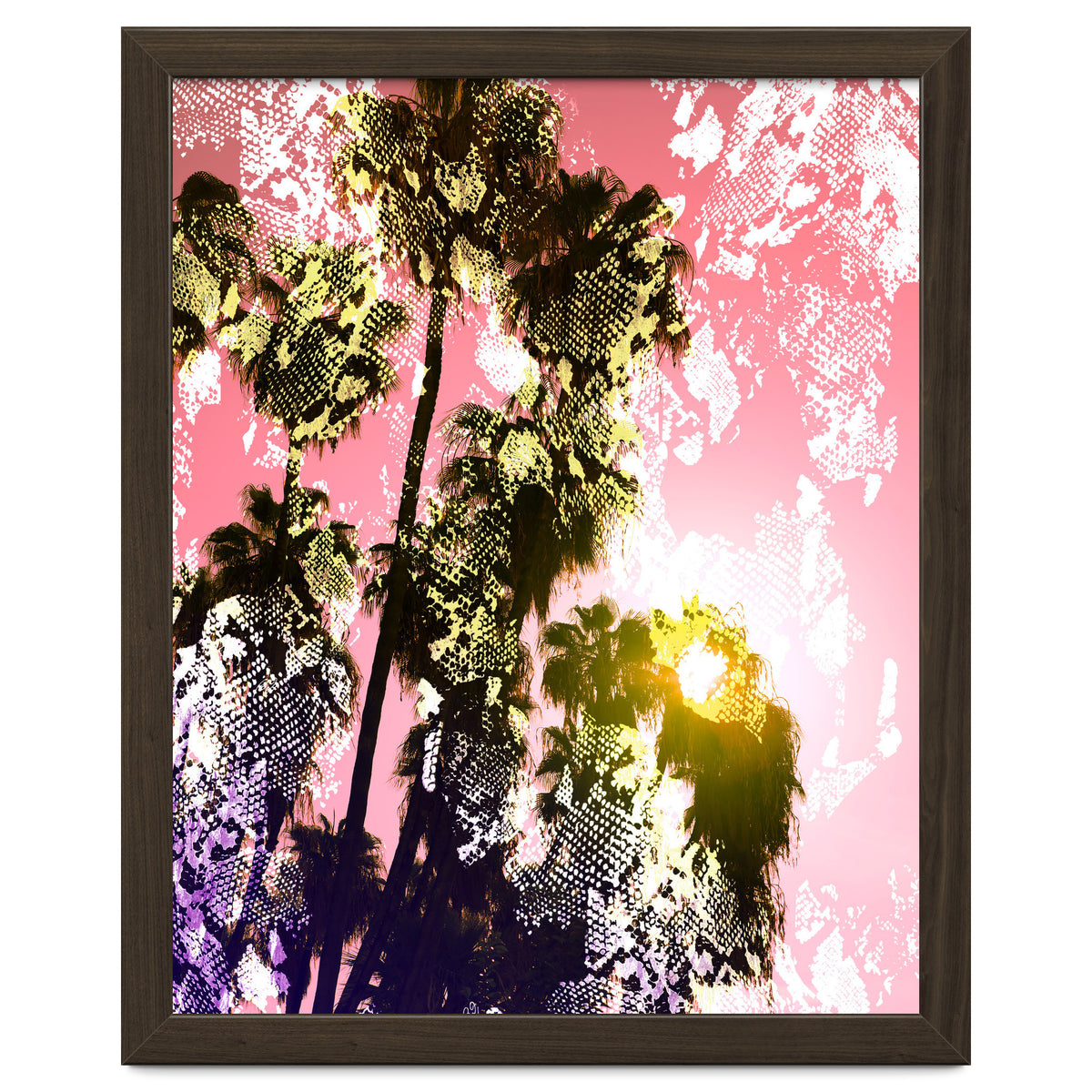 Snake sunset in paradise