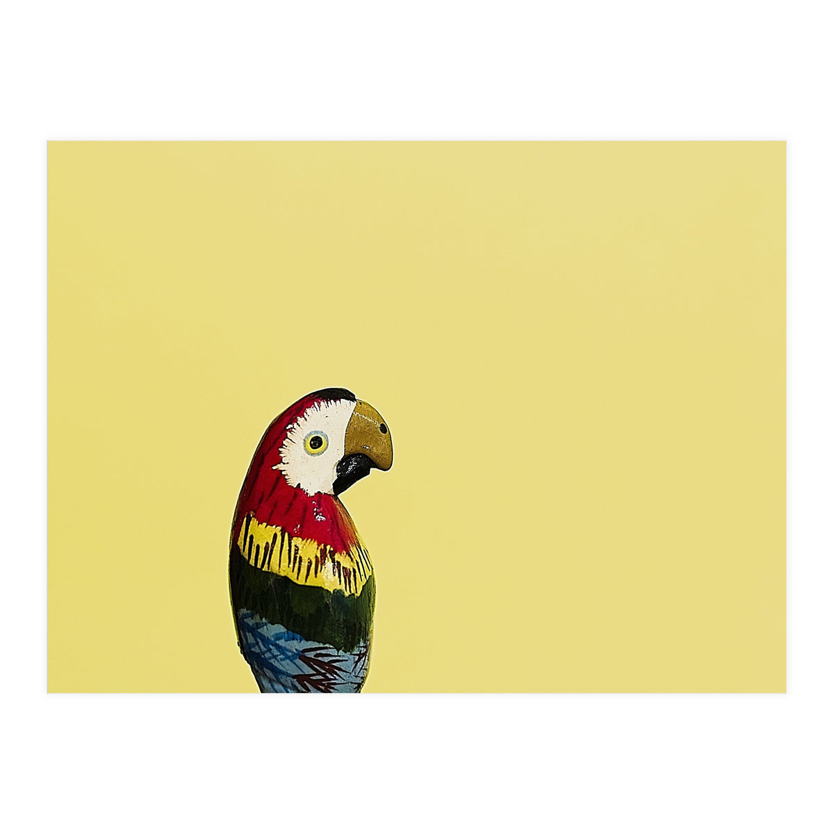 Parrot (Print Only)