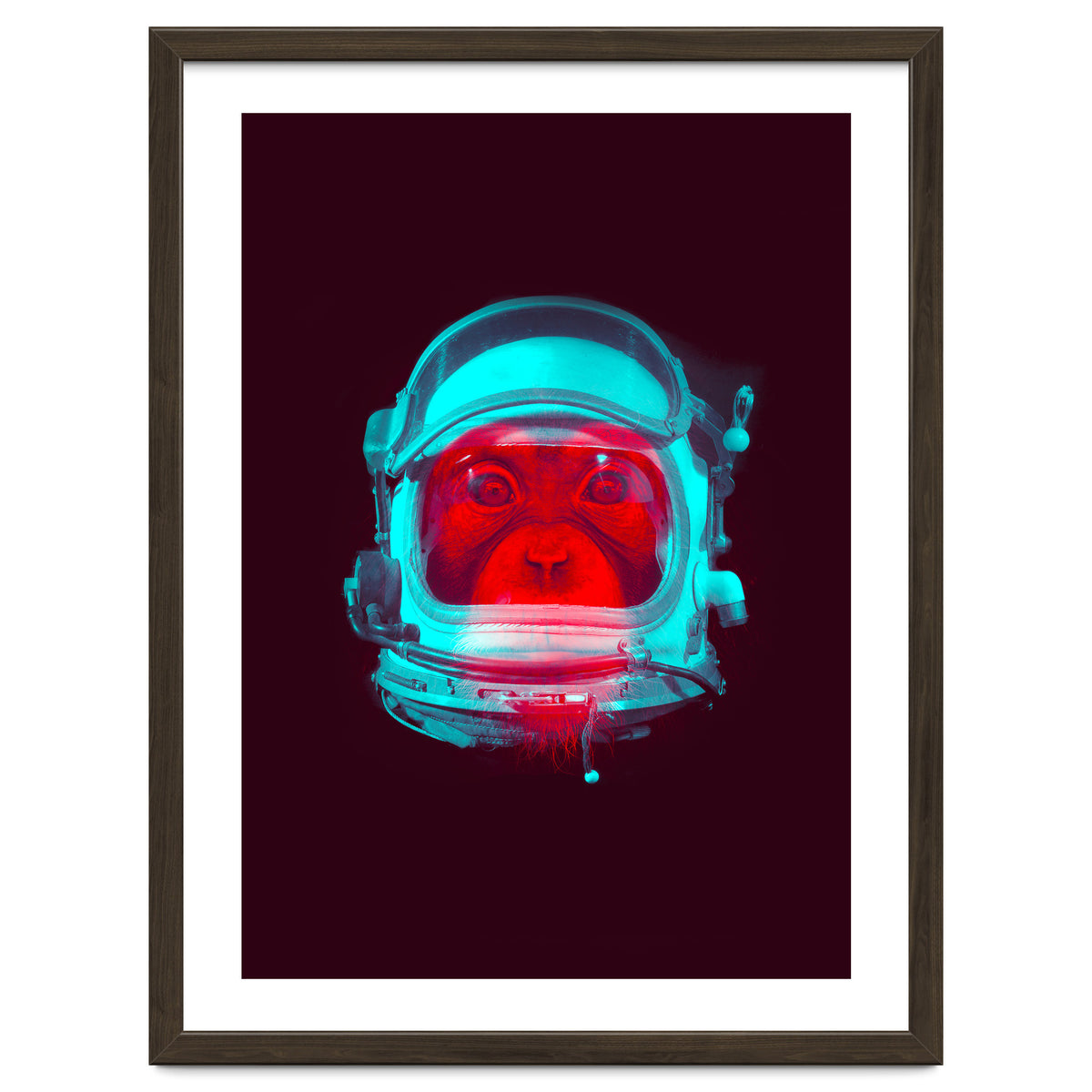 Astronaut