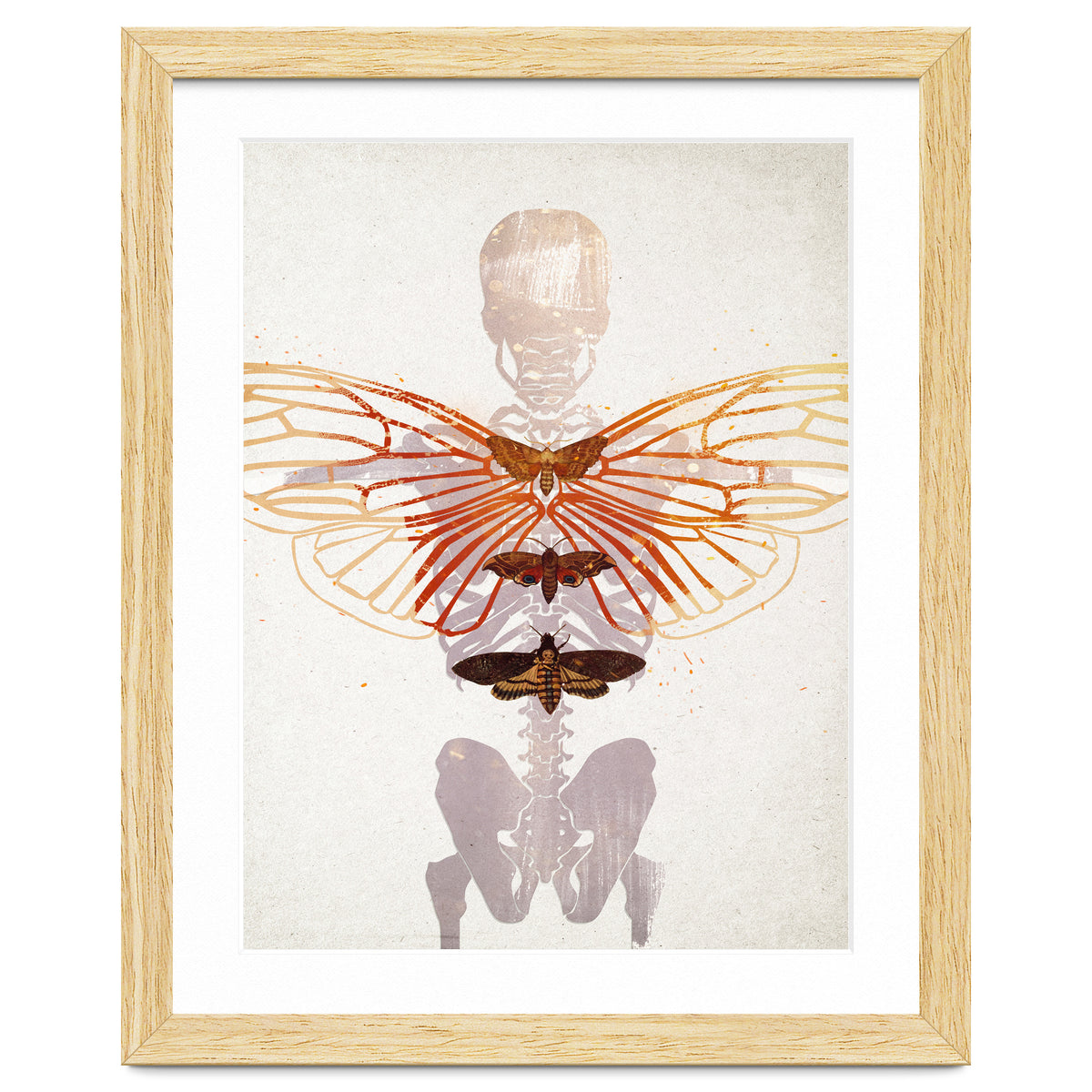 Ikarus - Like a Moth to the Flame