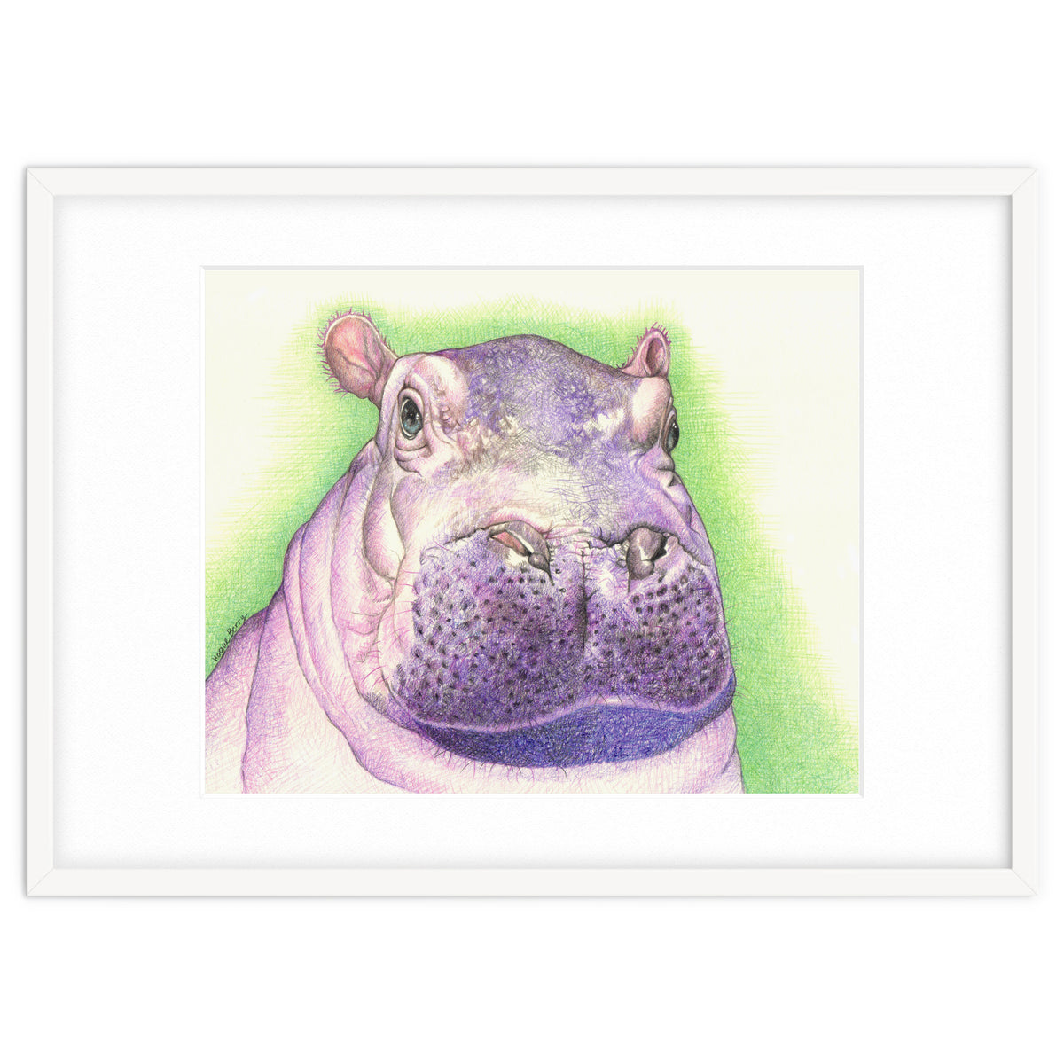 Purple Hippo