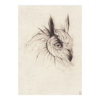 Owl (Print Only)