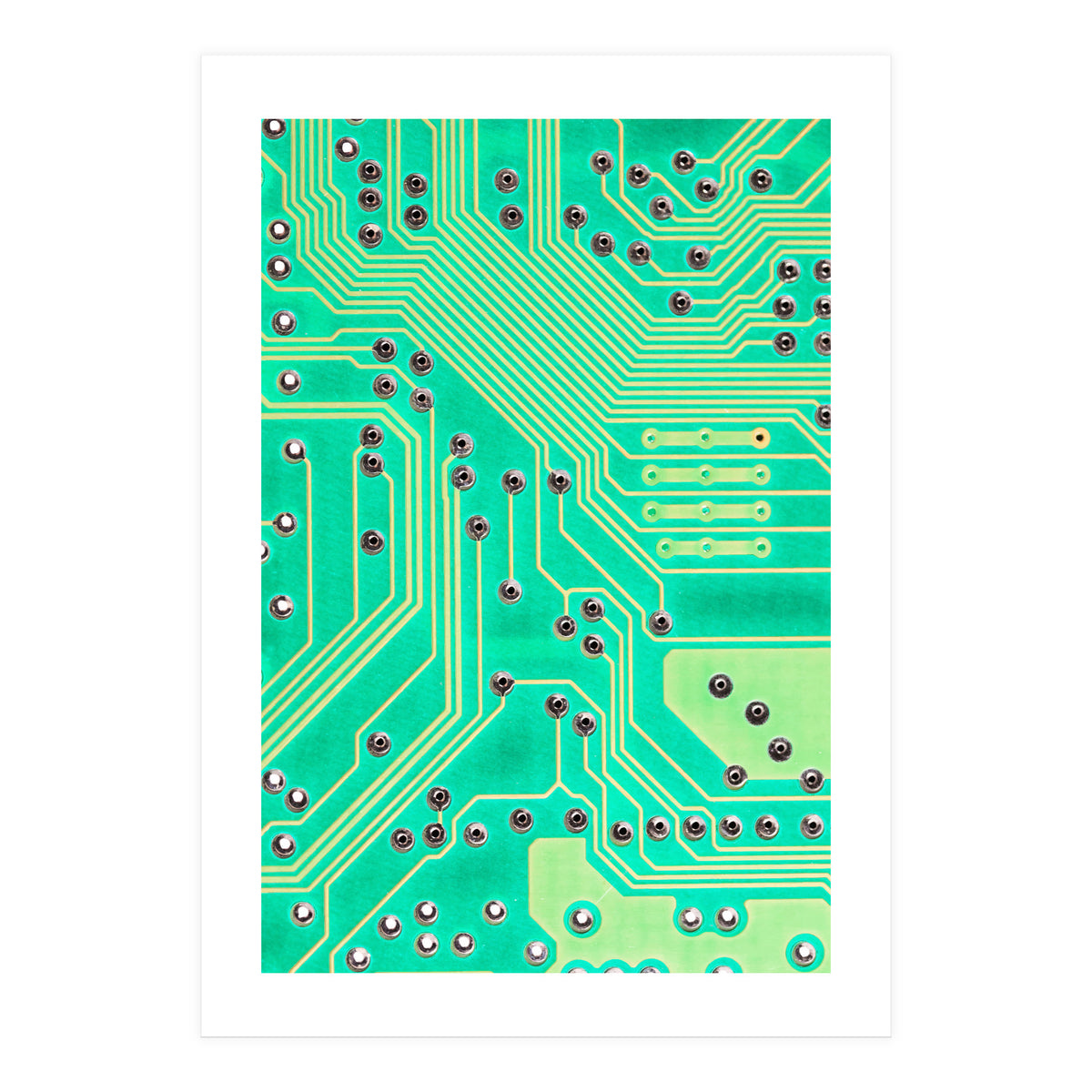 Connections (Print Only)