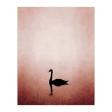 The Swan (Print Only) thumbnail