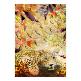 A Life Wild (Print Only) thumbnail