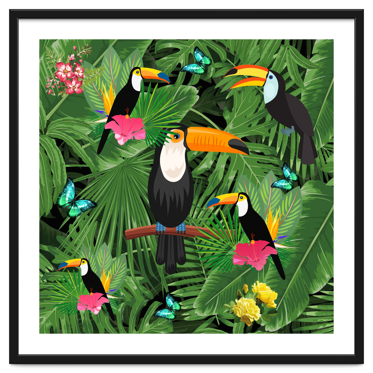 Toucan