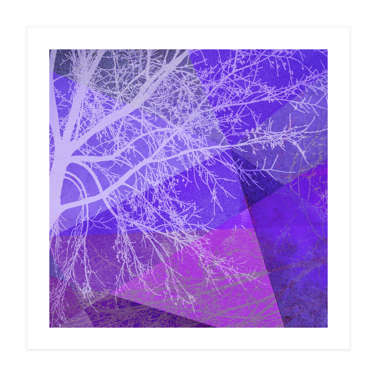 P19-D2 Trees and Triangles (Print Only)