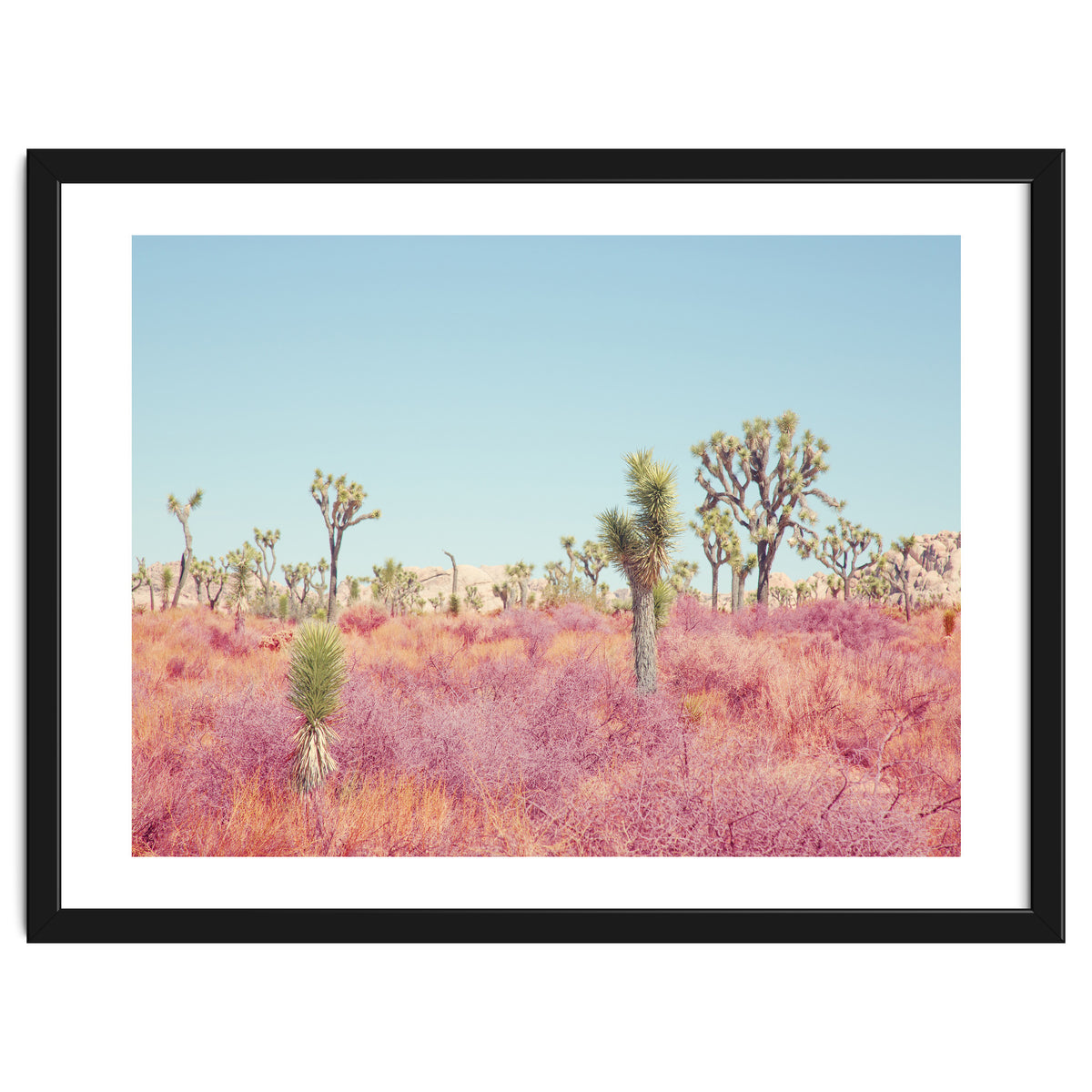 Surreal Desert