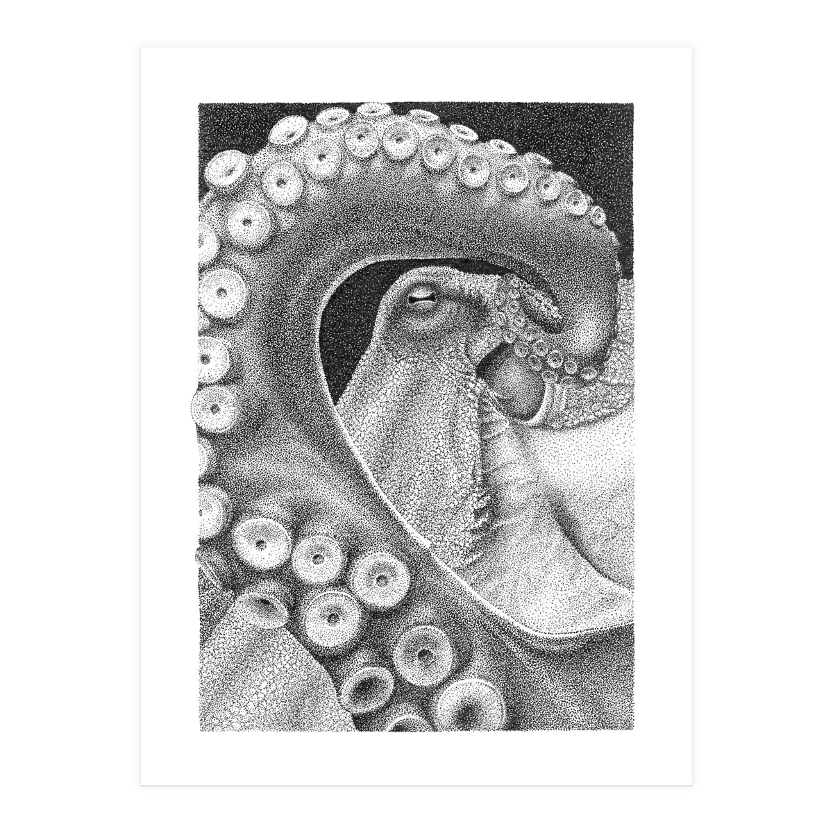 Octopus no. 1 (Print Only)