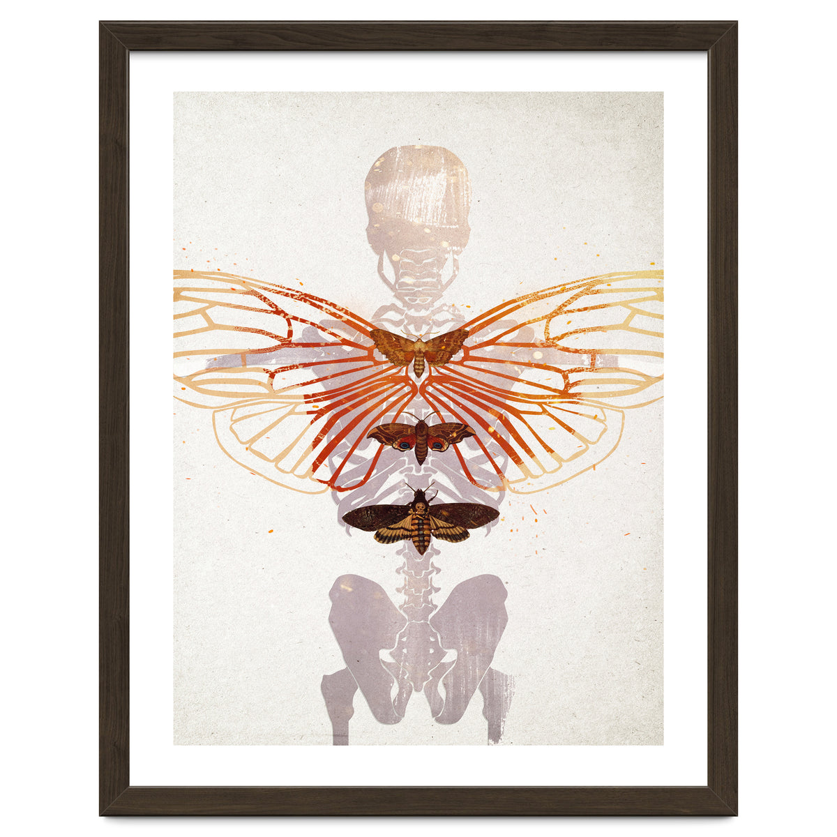 Ikarus - Like a Moth to the Flame