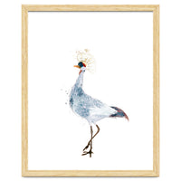 Watercolor Grey Crowned Crane