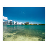 305 (Print Only) thumbnail