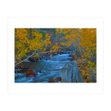 Nature (Print Only) thumbnail