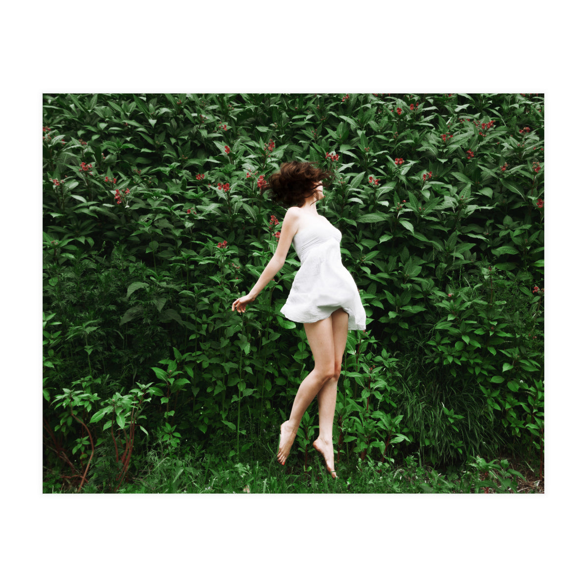 Greenscape (Print Only)