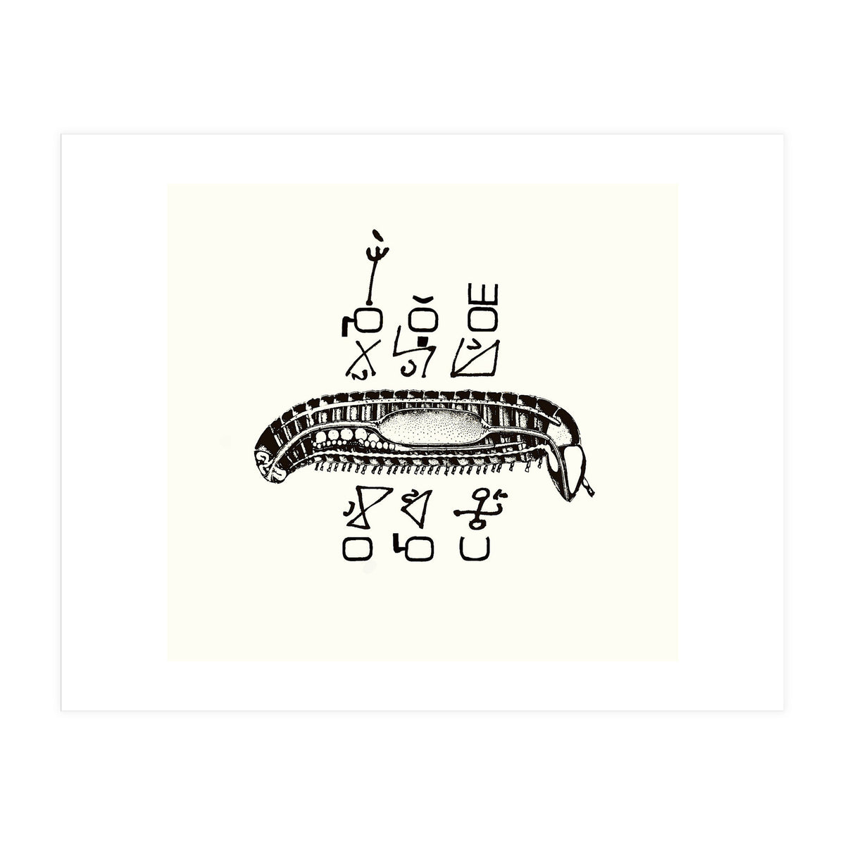 Diplopod David Felix (Print Only)