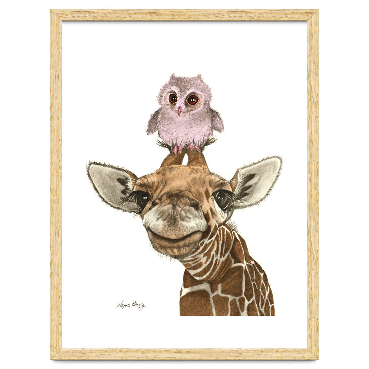 Giraffe and Owl