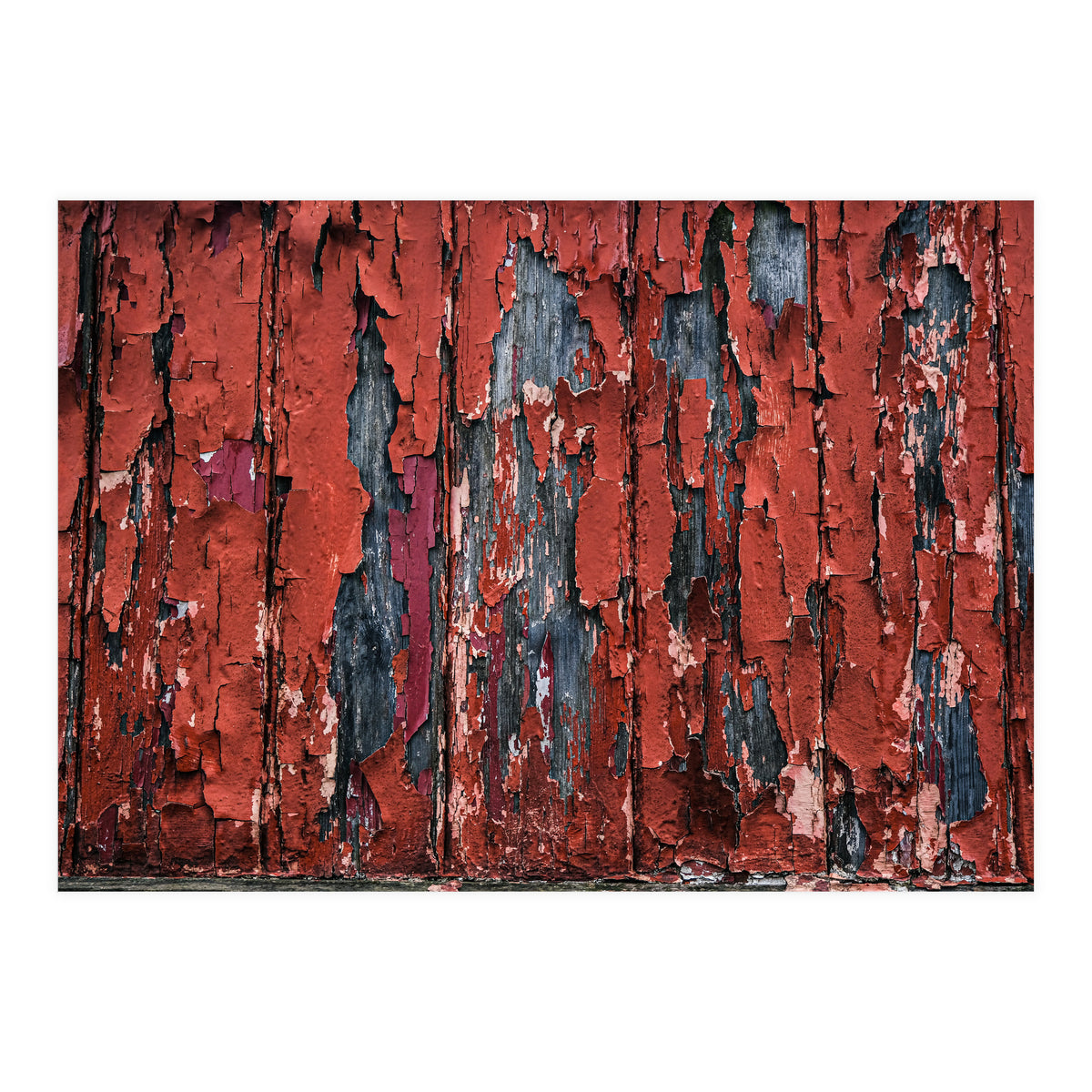 Flaking paint (Print Only)