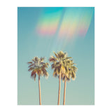Groovy California Palm Trees (Print Only) thumbnail