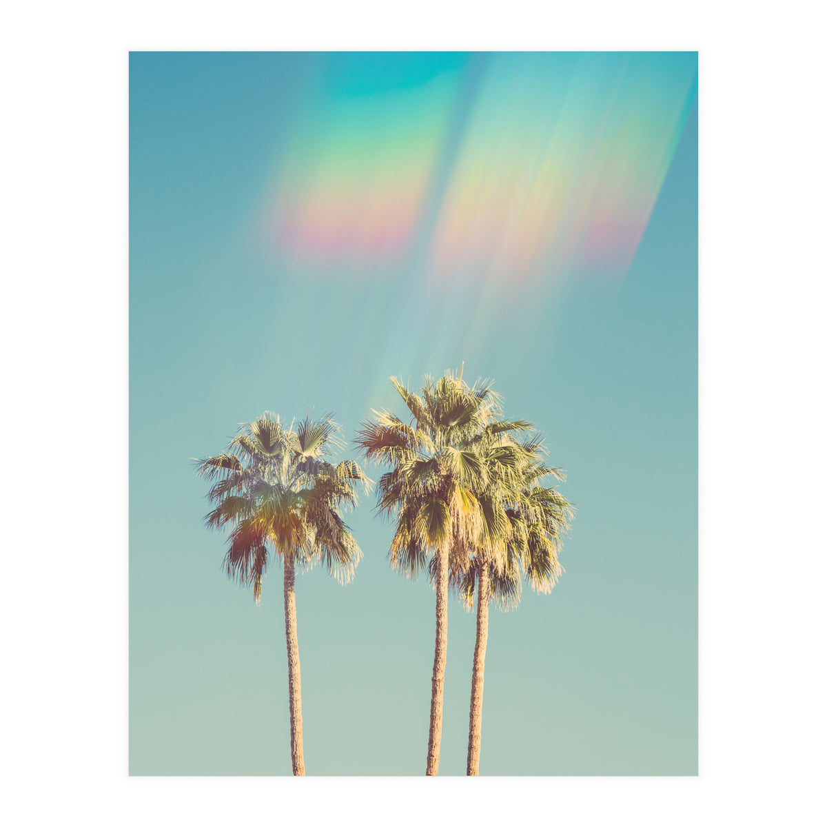 Groovy California Palm Trees (Print Only)