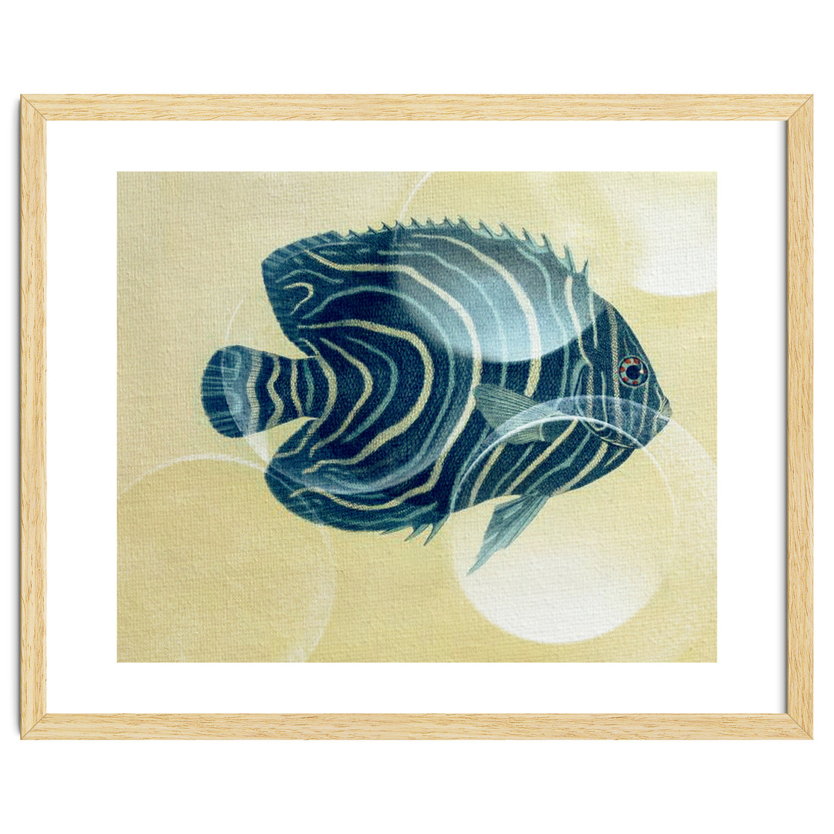 Fish Between Circles