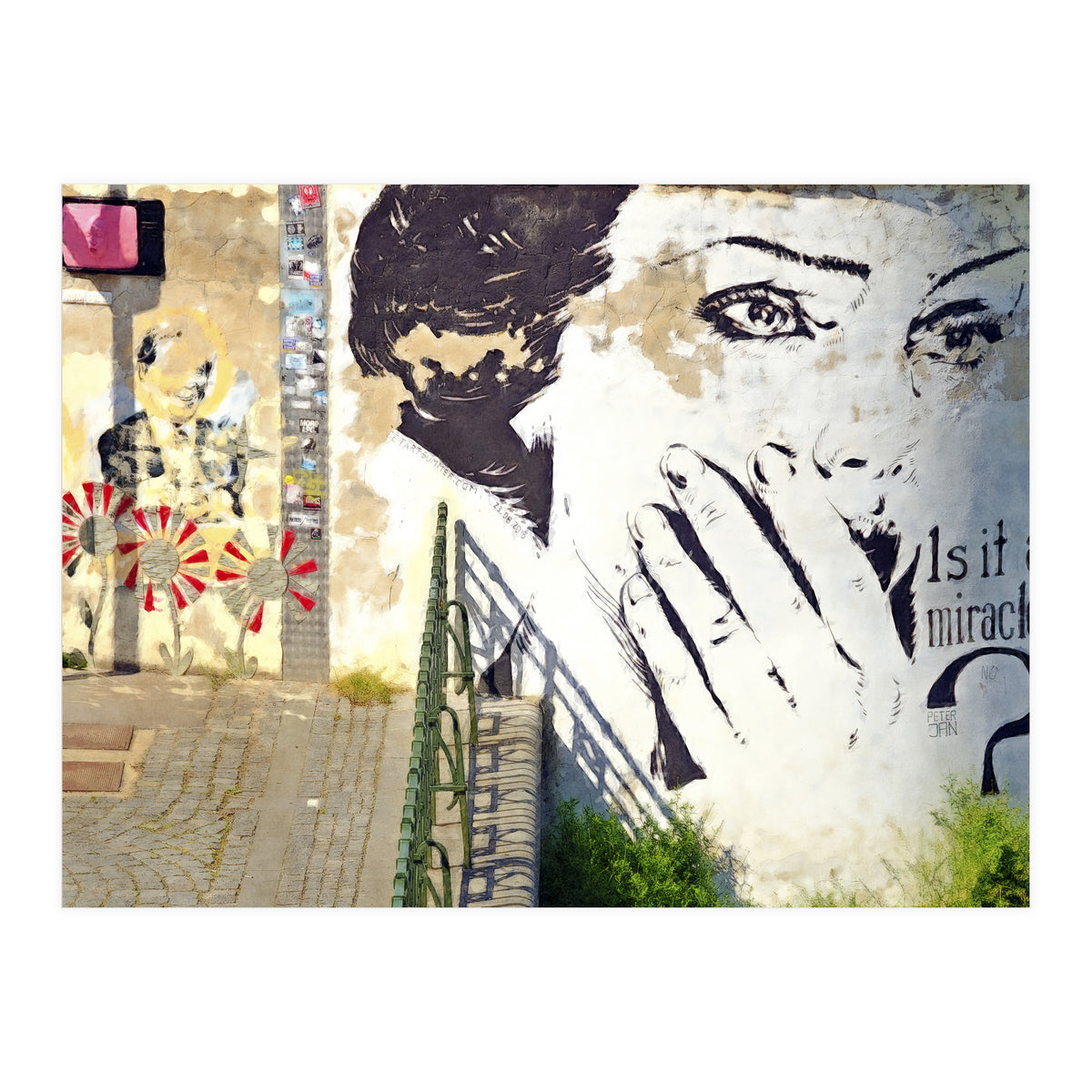 Beauty of decay (Print Only)