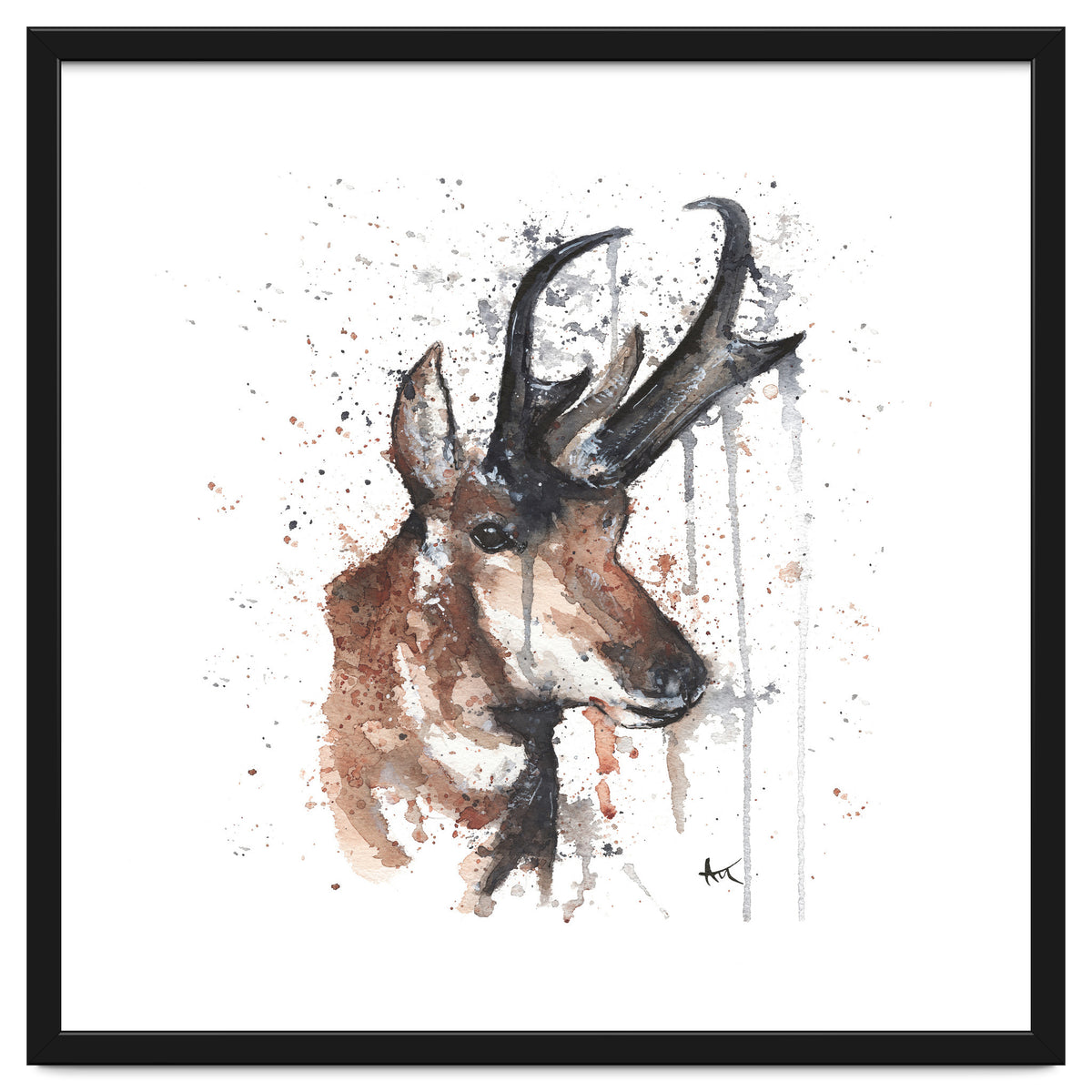 Red deer - Wildlife Collection