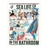 Sea Life in the Bathroom (Print Only) thumbnail